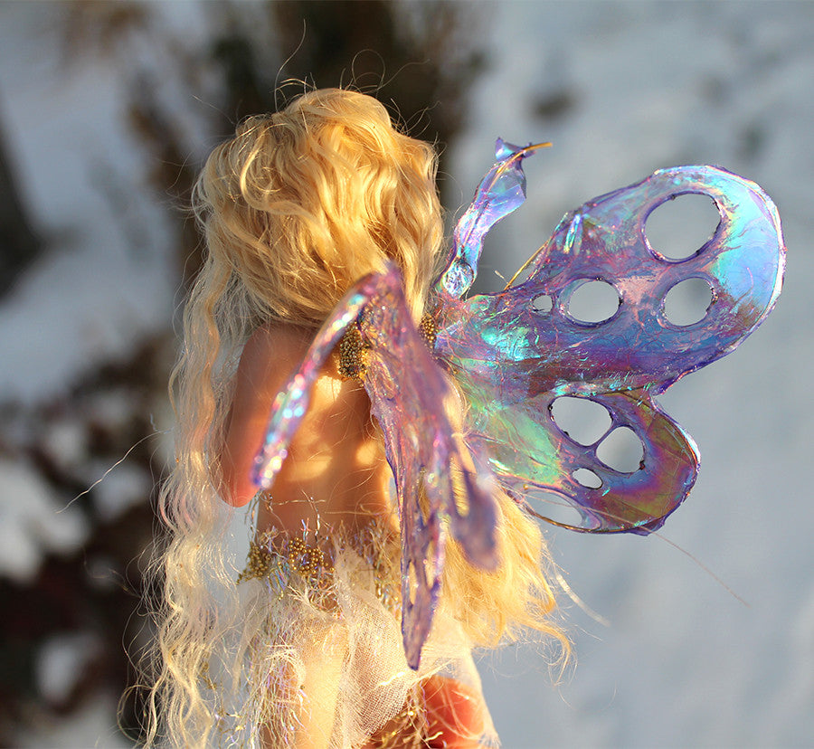 Sugar Plum Fairy DVD