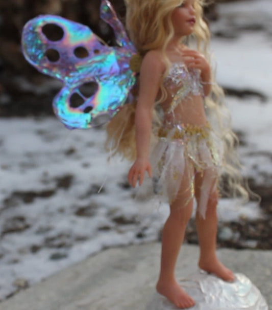 Sugar Plum Fairy DVD